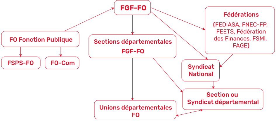 schéma organisationnel FGF-FO